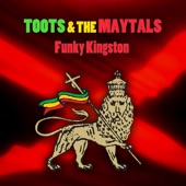 Toots & the Maytals - Funky Kingston (Instrumental Version)