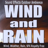 Sound Effects Wind, Weather, Rain, Outdoor Ambience artwork