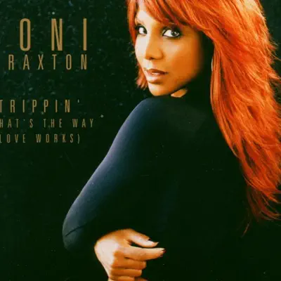 Trippin' (That's the Way Love Works) - Toni Braxton