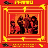 Ducks In Flight artwork