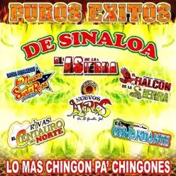Puros Exitos de Sinaloa - El Halcon de La Sierra Puros Exitos de Sinaloa - El Halcon de La Sierra