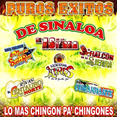 Puros Exitos de Sinaloa - El Halcon de La Sierra Puros Exitos de Sinaloa - El Halcon de La Sierra