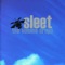 Fake Blue Eyes - Sleet lyrics
