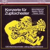 Concertino In H Fur Mandola Und Zupforchester: I. Ruhig Schreitend - Schnelle Viertel artwork