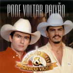 Um Amor e Uma Paixão