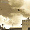 Dromedary - virgenes del sol