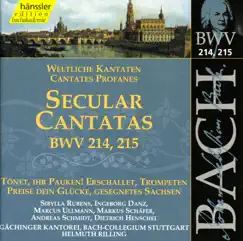 Bach, J.S.: Secular Cantatas, Bwv 214-215 by Andreas Schmidt, Sibylla Rubens, Ingeborg Danz, Marcus Ullmann, Stuttgart Gachinger Kantorei, Helmuth Rilling, Stuttgart Bach Collegium, Markus Schäfer & Dietrich Henschel album reviews, ratings, credits