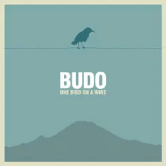 One Bird On a Wire by Budo album reviews, ratings, credits