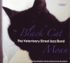 Veterinary Street Jazz Band - Algiers Strut