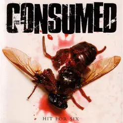 Hit for Six - Consumed
