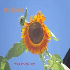 Pleroma by Wet Paint album reviews, ratings, credits