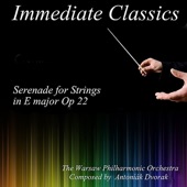 Serenade for Strings in E Major, Op. 22 : Serenade for Strings in E major Op 22 artwork