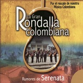 Soy Colombiano artwork