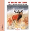 Le Brame Des Cerfs