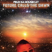 Felix da Housecat - The Future Calls the Dawn