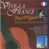 Vive la France (15 Famous guitar hits of France)