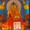 Om Mani Padme Hum - Single