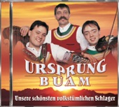 Unsere schönsten volkstümlichen Schlager