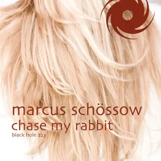 Chase My Rabbit (Moonbeam Edit) by Marcus Schossow song reviws