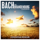 Bach: The Brandenburg Concertos artwork
