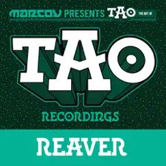 Reaver (Original Mix) Song Lyrics