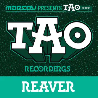 Reaver (Original Mix) by Marco V song reviws