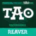 Reaver (Original Mix) song reviews