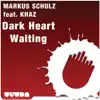Dark Heart Waiting (Club Mix) song lyrics