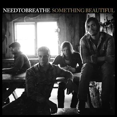 Something Beautiful - Single - Needtobreathe