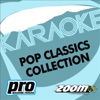 Zoom Karaoke - Pop Classics Collection, Vol. 120