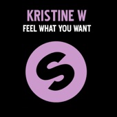 Feel What You Want (Original Radio Mix) artwork