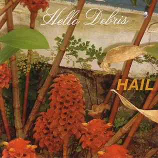 baixar álbum Hail - Hello Debris