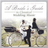 Bride's Guide to Classical Wedding Music artwork
