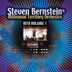 Steven Bernstein - Soul Serenade