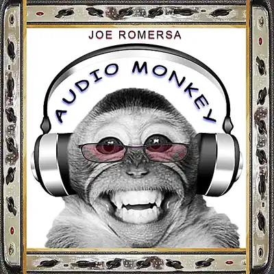 Audio Monkey - Joe Romersa