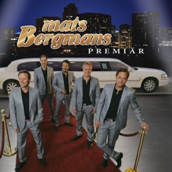 Mats Bergmans - Dreamlover