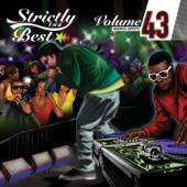 Strictly the Best, Vol. 43 artwork