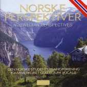Norske Perspektiver - Norwegian Perspectives artwork
