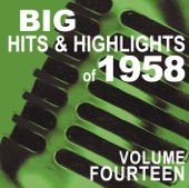 Big Hits & Highlights of 1958, Vol. 14