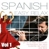 Easy Relax Ambient Music. Floute, Spanish Guitar And Flamenco Compas. Vol1 artwork