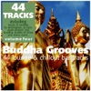 Buddha Grooves Vol. 4 - 44 Lounge & Chill-Out Tracks