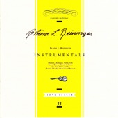 Reininger: Instrumentals artwork