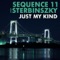 Just My Kind - Sequence 11 aka Sterbinszky lyrics