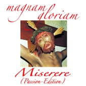 Miserere (Magnam Gloriam Passion Rework) artwork