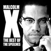 Malcolm X - Police Brutality And Mob Violence