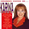 Stream & download Los Grandes Exitos