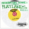 Federation Sound Presents Flatlands Riddim, 2011