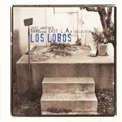 Letra de la canción La Bamba - Los Lobos