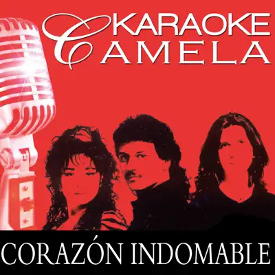 Karaoke Camela Corazon Indomable Playback - Camela