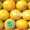 A Filial